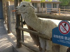 -西安秦岭野生动物园