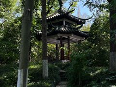 -瀛洲公园