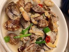 葱姜炒花蛤-乾隆美食·本帮菜(黄河路店)