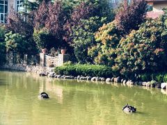 -芭东小镇温泉