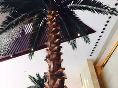 -常州环球恐龙城维景国际大酒店