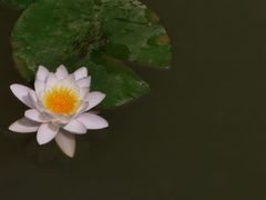 -桑干河大峡谷旅游区