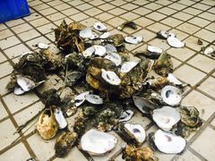 -濠轩阁特色生蚝火锅(水湾路店)