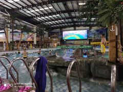 -南宫温泉水世界