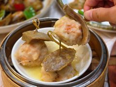 -東海薈。拉斐特(青衣城店)