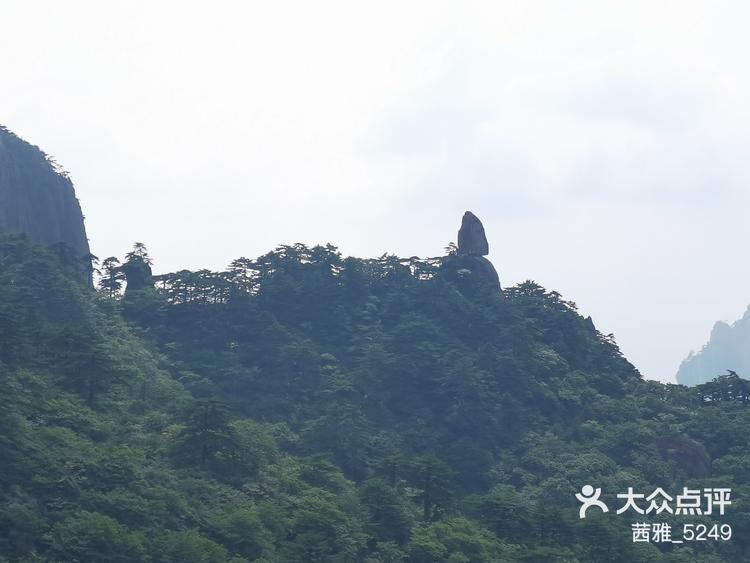 岳麓山飞来石图片