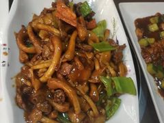 -老马家拉面(碧水花园东南)