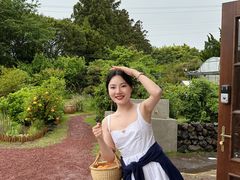 -柑橘农场