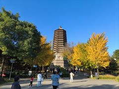 -玲珑塔公园