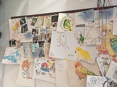 -吉丁鸟咖·异宠·寄养