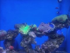 -石家庄海洋公园
