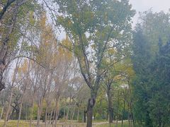 -万泉公园