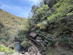 -莫干山风景区
