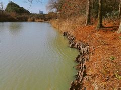 -平湖九龙山旅游度假区