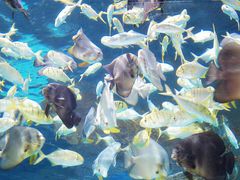 -波塞冬旅游度假区