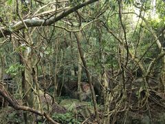 -七仙岭温泉国家森林公园