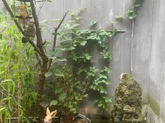 -后海16号·北京私房菜