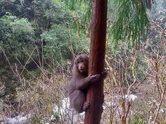 -西岭雪山大飞水景区