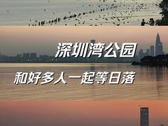 -深圳湾公园(南山区)