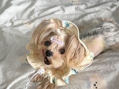 -达爱动物医院·犬猫分区·CT·复杂眼科(远洋山水分院)