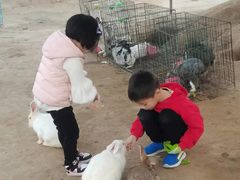 -前小桔亲子创意农场·草莓采摘·露营烧烤