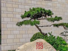 -西安汽车职业大学(临潼校区)