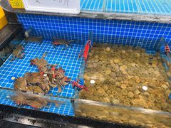 -隐厨·海鲜餐厅(恒通路店)