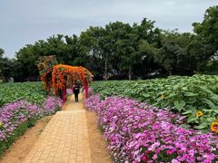 -光明农场大观园