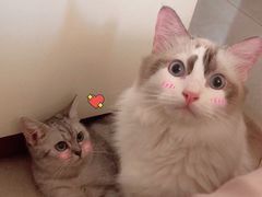 -盐帮食坊•小河帮川菜(四川师大店)