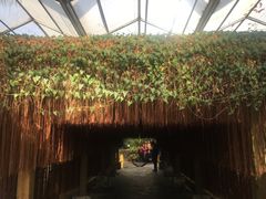 -陆地游轮吉林神农温泉