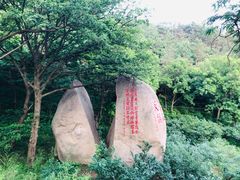 -老张烤羊(王哥庄店)