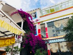 -尼玛藏家风味园(阿山食城店)