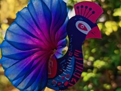 -品德宏·孔雀宴的发源地(金塔园店)