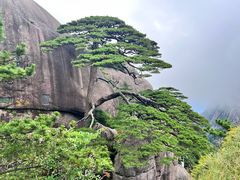 -黄山风景区