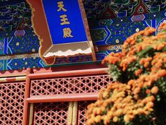 -后海公园