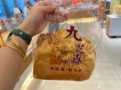 -九芝斋(解放路店)