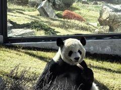 -无锡动物园·太湖欢乐园