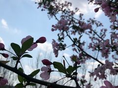 -天鹅湖体育公园