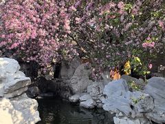 -张学良旧居陈列馆