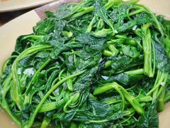 椒丝腐乳通菜-贞姨美食·老字号海鲜大排档