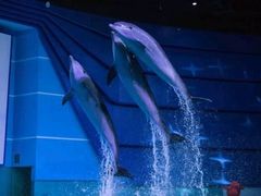 -南昌融创海世界