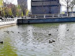 -莲花池公园