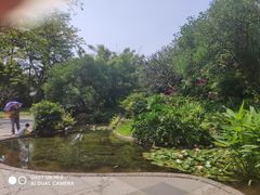 -晓港公园
