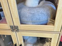 -炒码先生·韩餐炸鸡披萨(西塔店)
