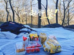 -紫金山山顶公园