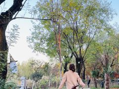 -Supine Bistro溯泮餐厅