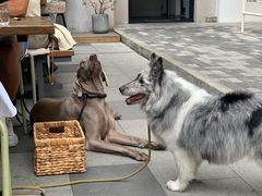 -RAC BAR(安福路店)