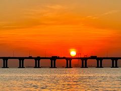 -宝安西湾红树林湿地公园