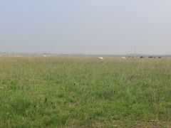 -内蒙古众诚旅行社有限公司