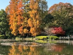 -杭州植物园